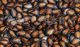 热门大瓜子,零食界的明星产品